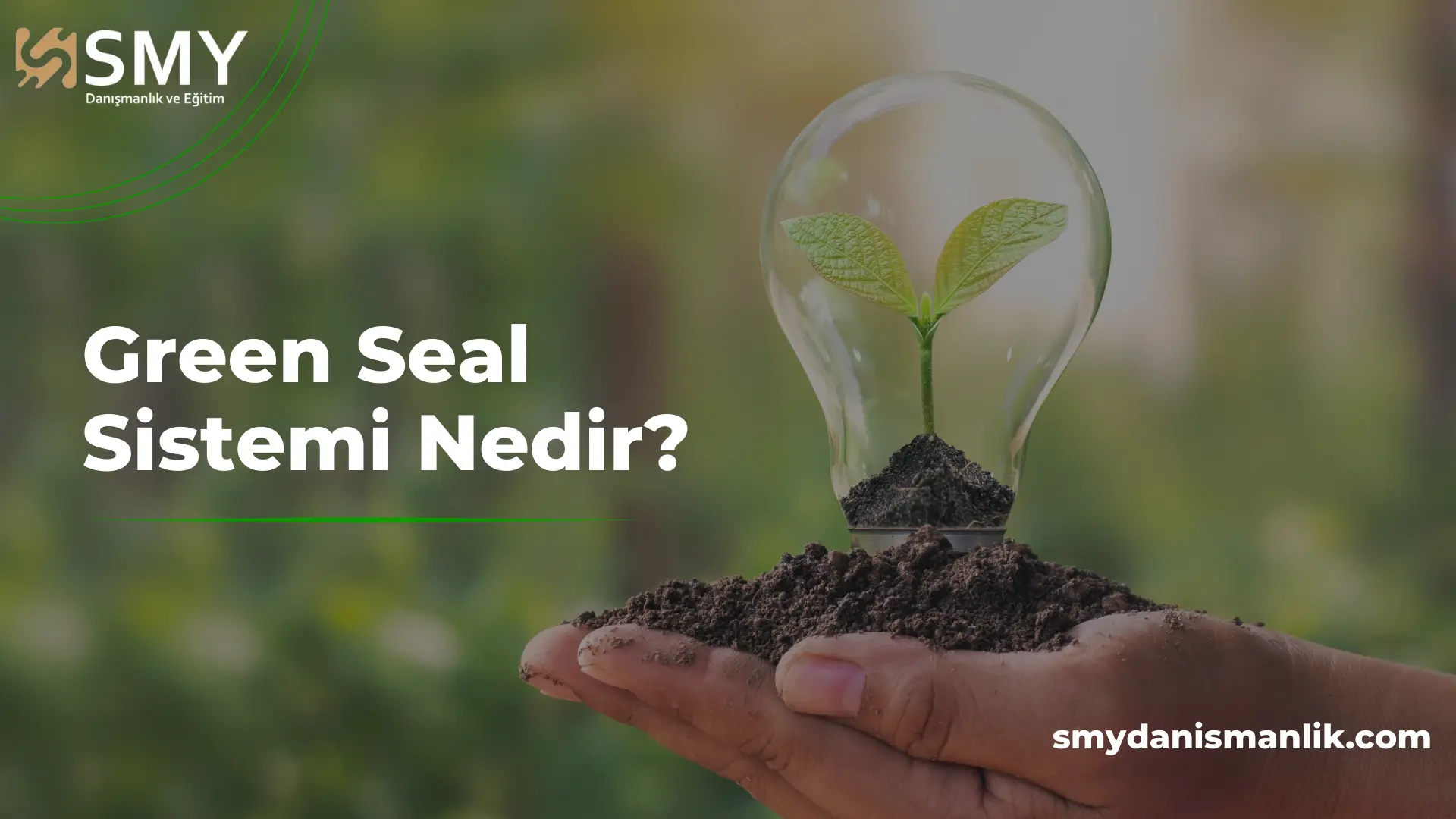 Read more about the article Green Seal Sistemi Nedir?