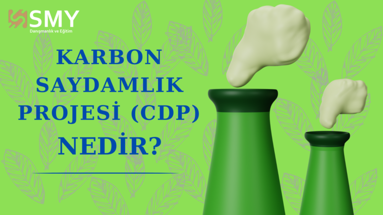 Read more about the article Karbon Saydamlık Projesi (CDP) Nedir? 